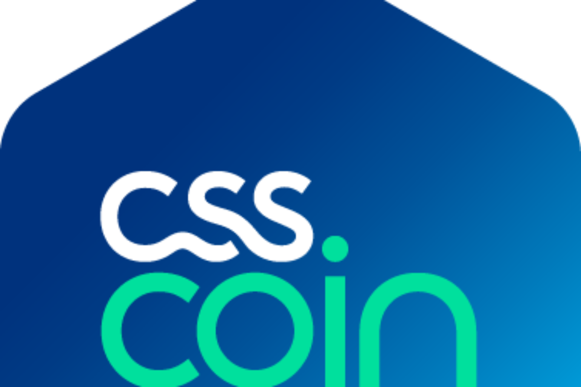 css coin