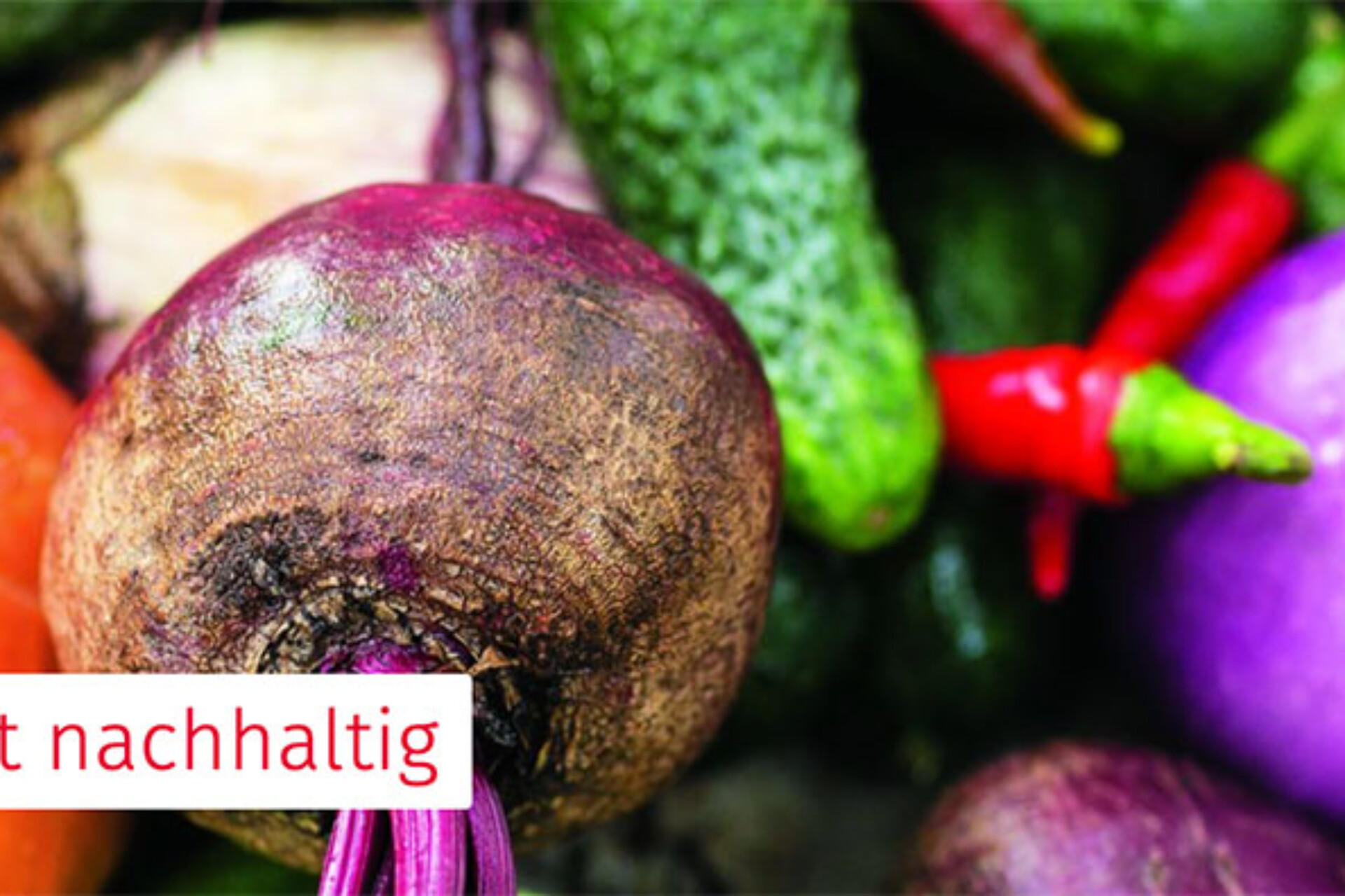 Was heisst «nachhaltig essen» konkret? Ein Luzerner Experiment