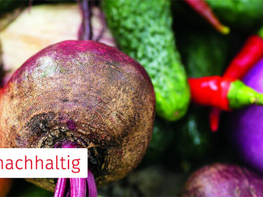 Was heisst «nachhaltig essen» konkret? Ein Luzerner Experiment