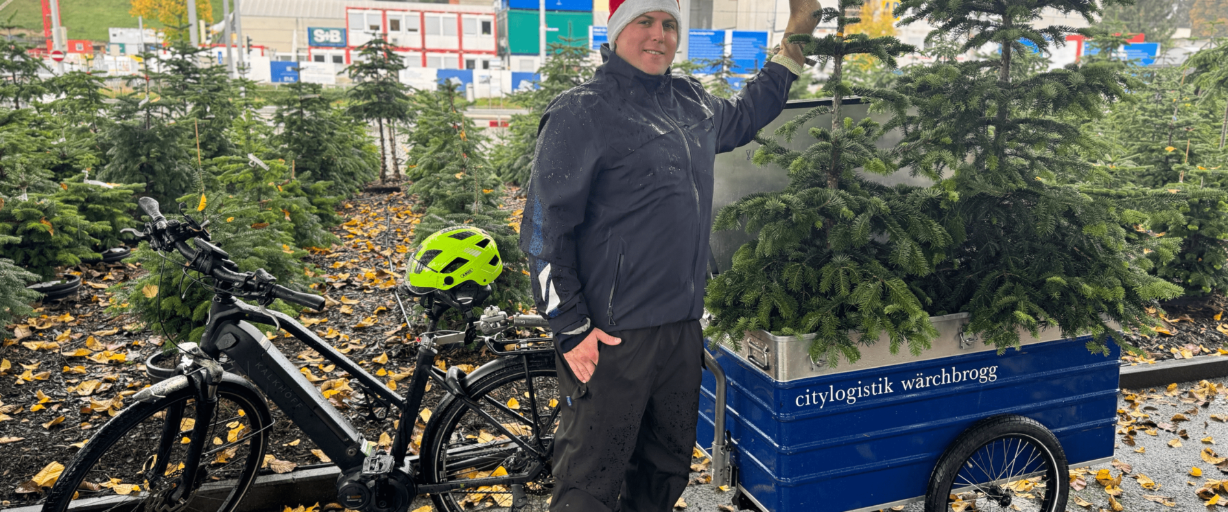 Weihnachtsbaum Lieferung Citylogistik