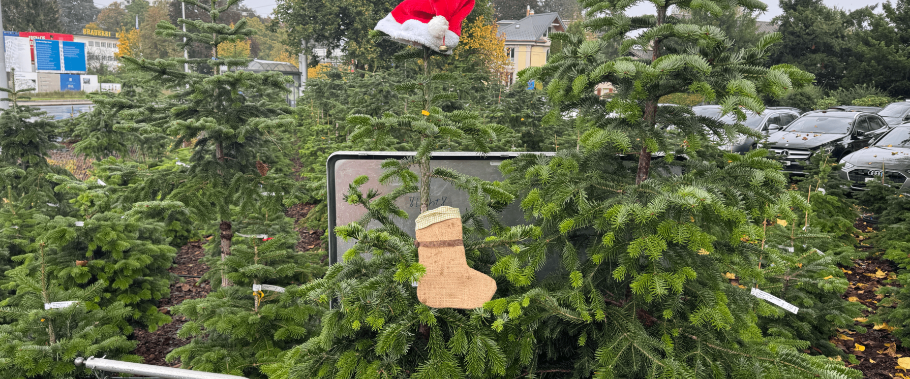 Weihnachtsbaum Verkauf Waerchbrogg